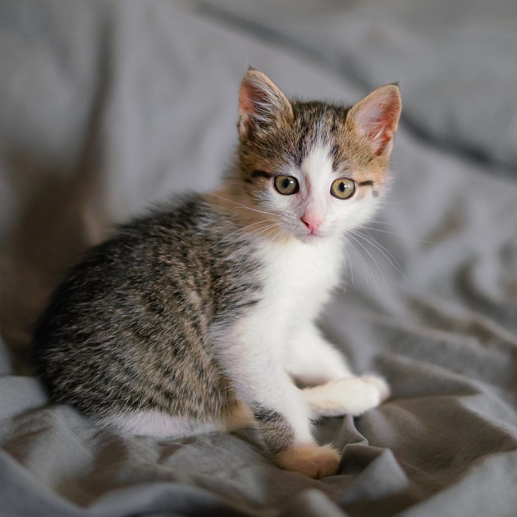 Бандеролька