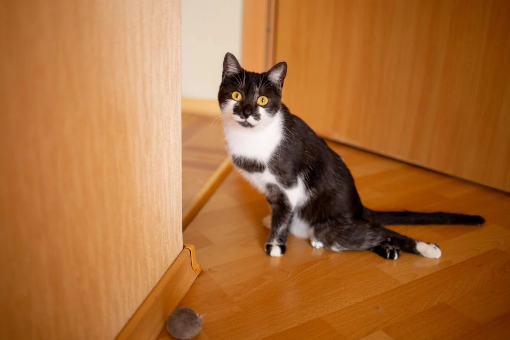 Фото Клара