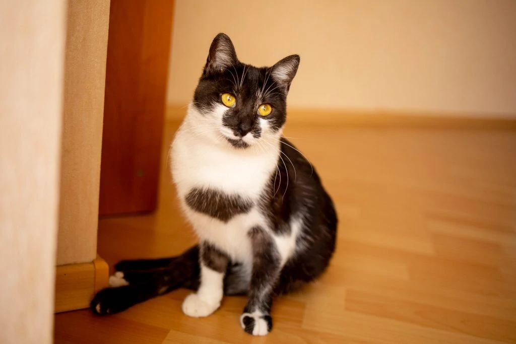 Фото Клара