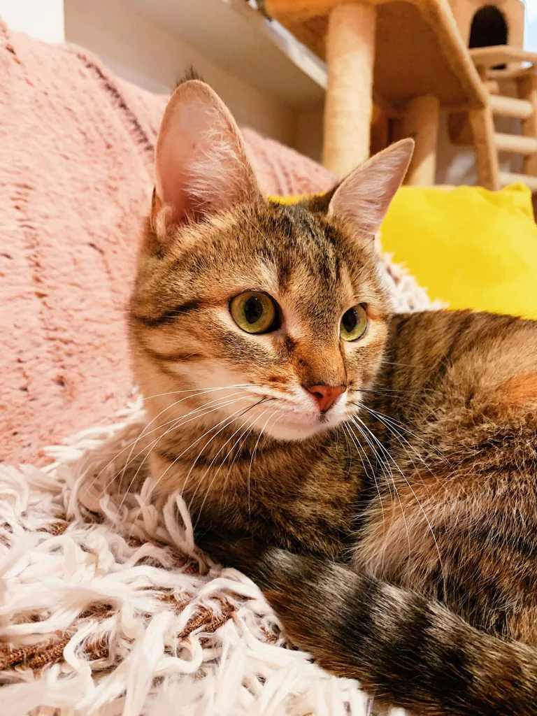 Фото Mala