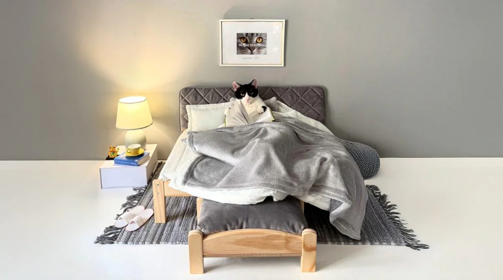 catohotel